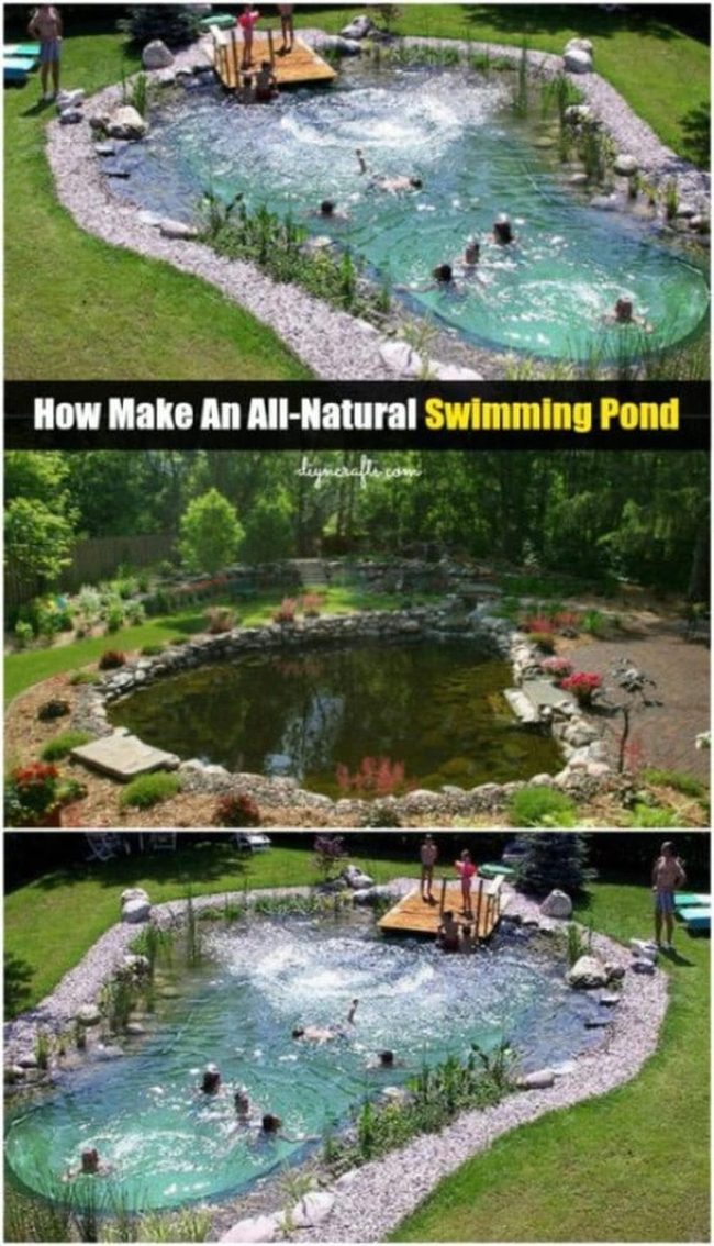 Plant-Filtered Pools Minus Chemicals