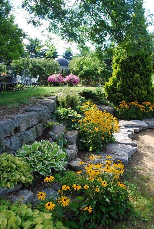 Yellow Blooms Through Stone Pathways