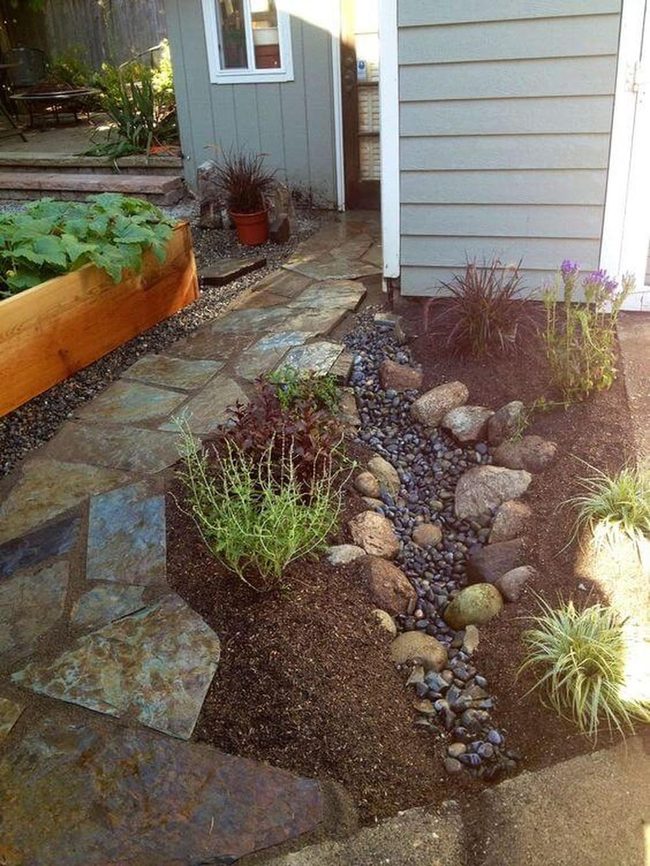 Stone Path Through Living Garden