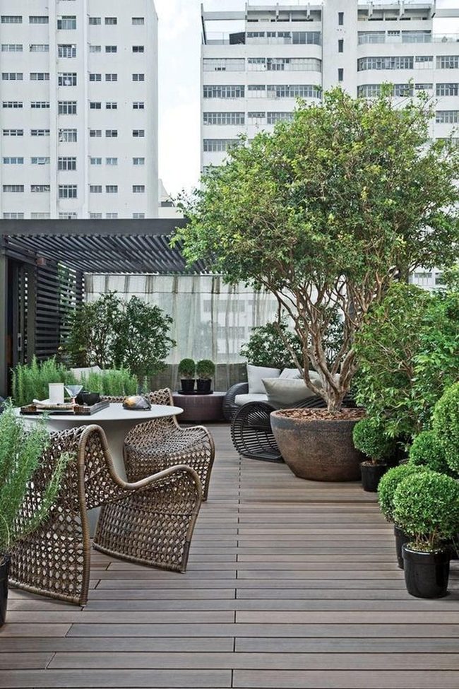 Giant Green Oasis Urban Rooftop