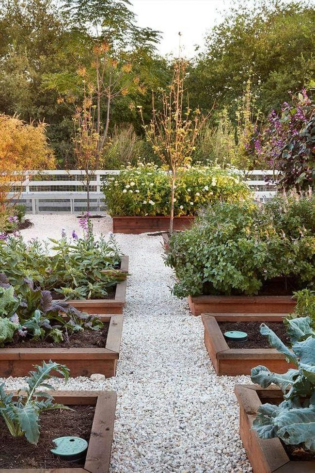 Organized Grid Garden With Evening Glow
