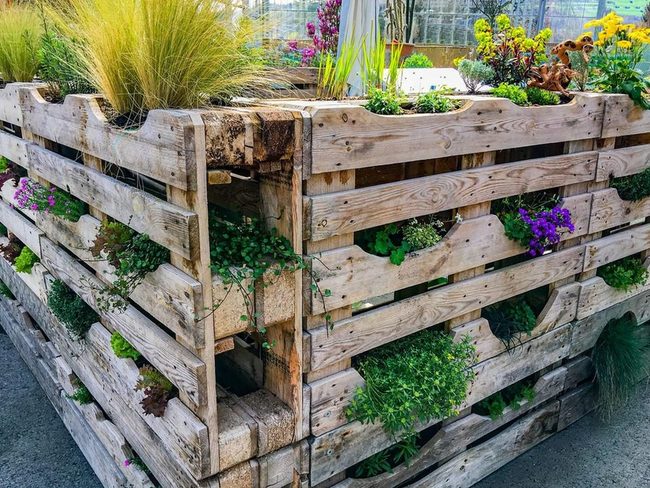 Reclaimed Wood Vertical Garden