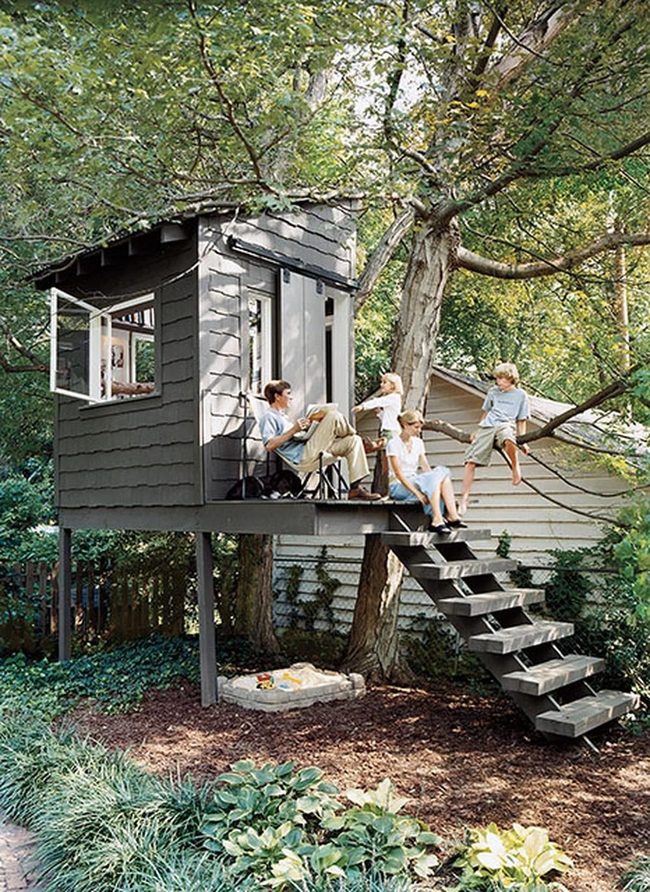 Giant Tree Trunk Through Gray Treehouse