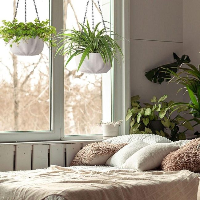 Suspended Greenery On Iron Chains