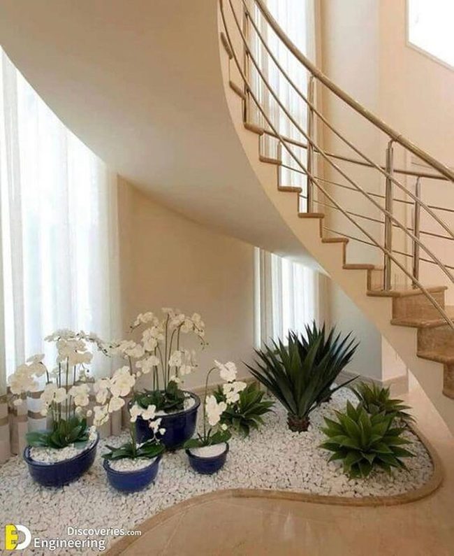 White Orchids Bold Succulents Staircase