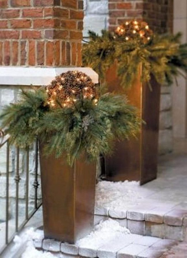 Bronze Planters Pine Branches Winter Light