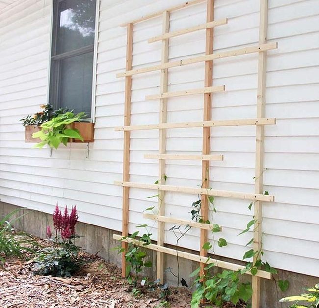 Wooden Trellis Vertical Garden Wall