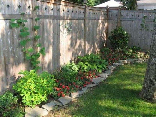 Vines, Stone, And Ground Blooms