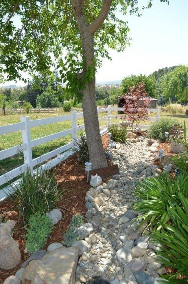 Stone Pathways Through Hardy Plants