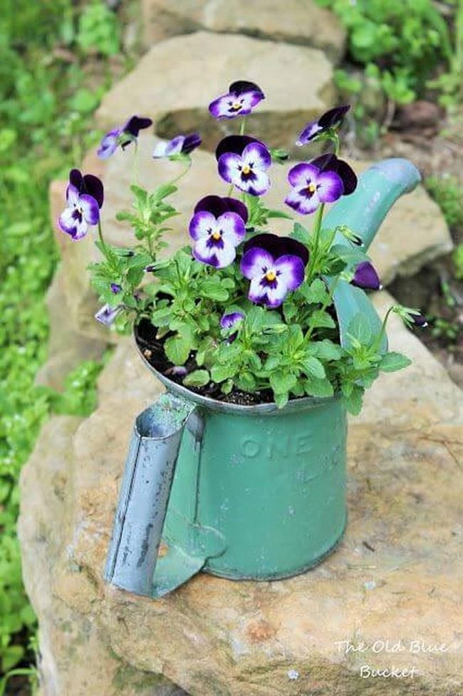 Vintage Watering Can Planter
