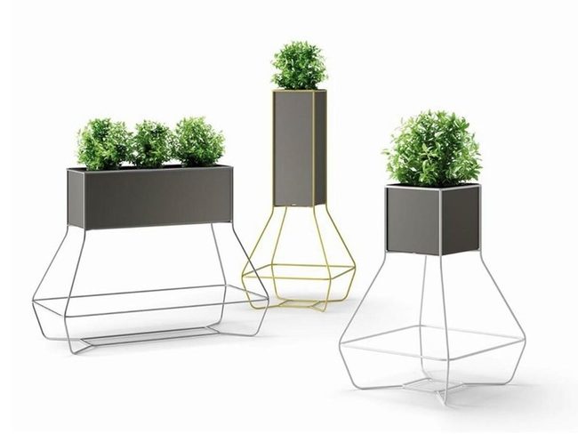 Elevated Botanicals In Metal Frame