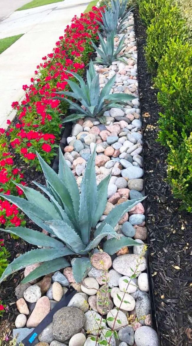 Red Flowers, Stone, Structured Garden