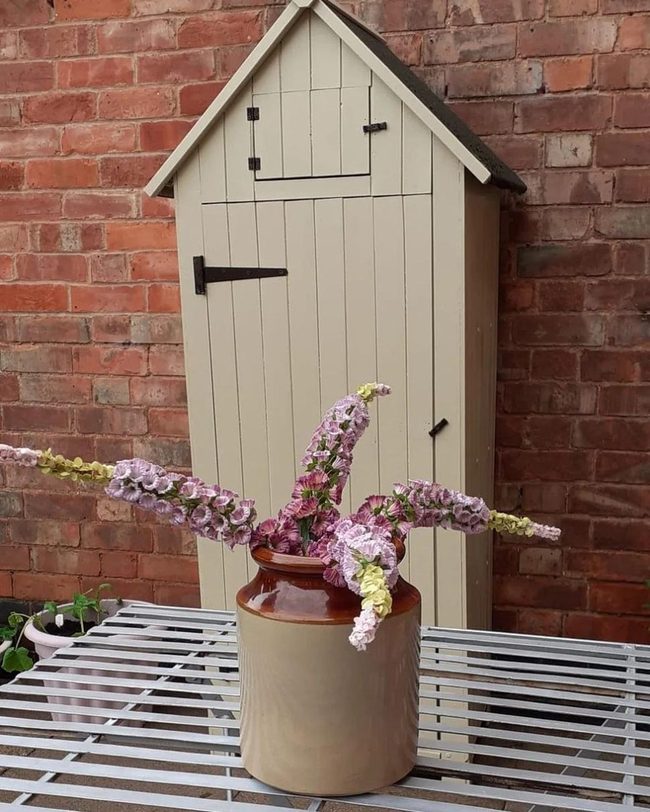 Terracotta Pots Unusual Blooms