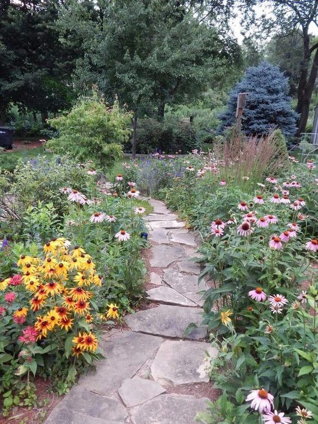 Colorful Flowers Line Stone Path