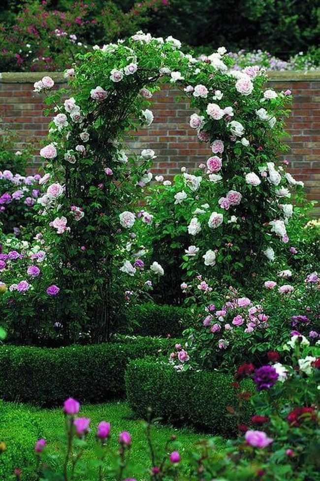 Pink Roses Arched Garden Gateway