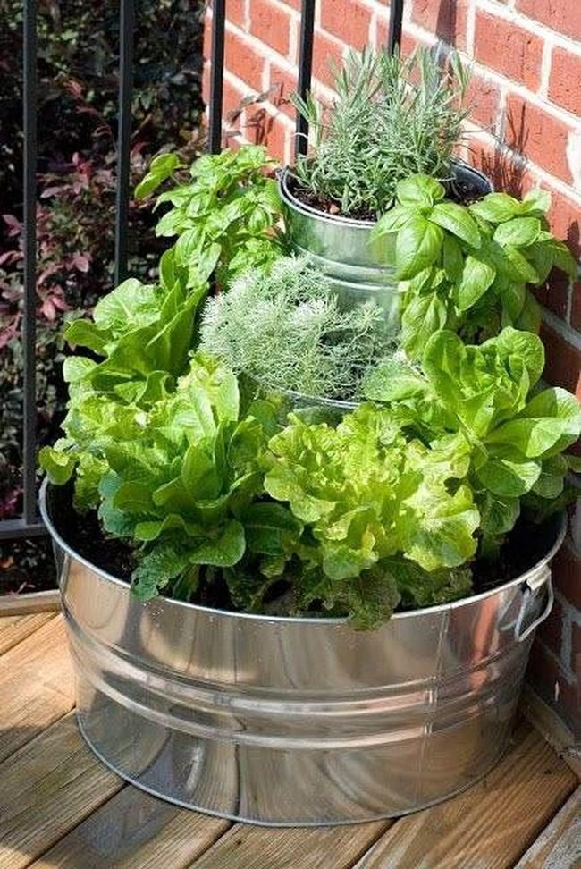 Tiered Metal Planters For Compact Spaces