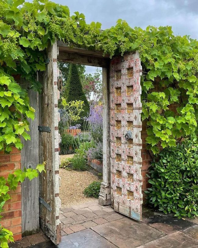 Weathered Wood Gate With Living Vines