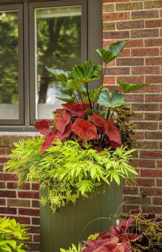 Crimson And Green Layered Tower
