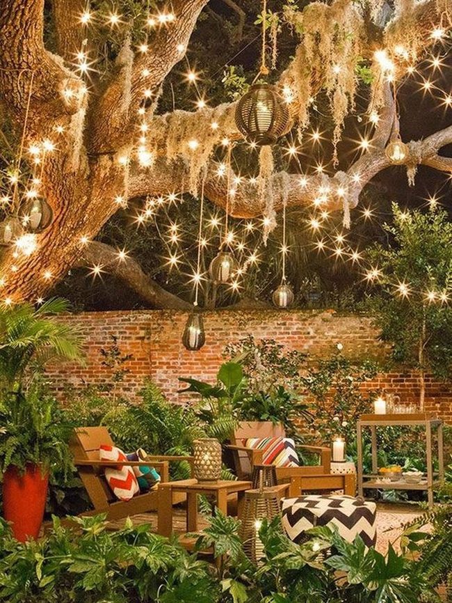 String Lights Through Garden Branches