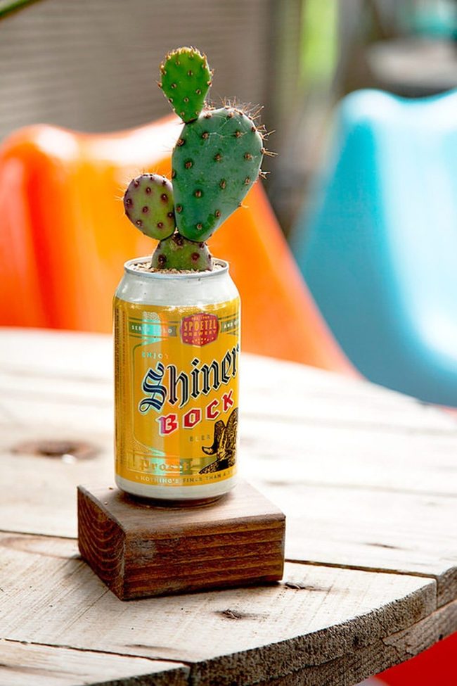 Painted Metal Cans For Succulents