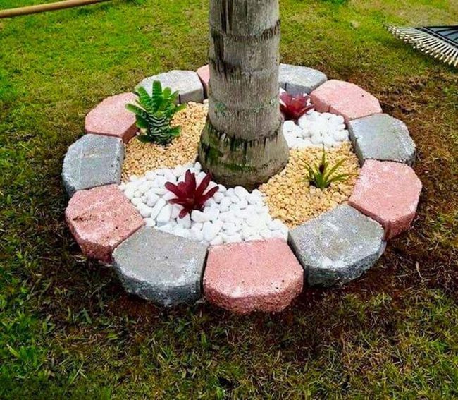 Red Border Succulent Garden Circle