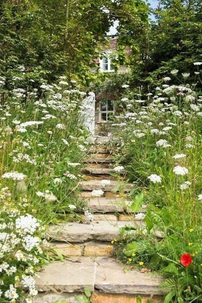 Winding Stone Paths Through Flowering Gardens