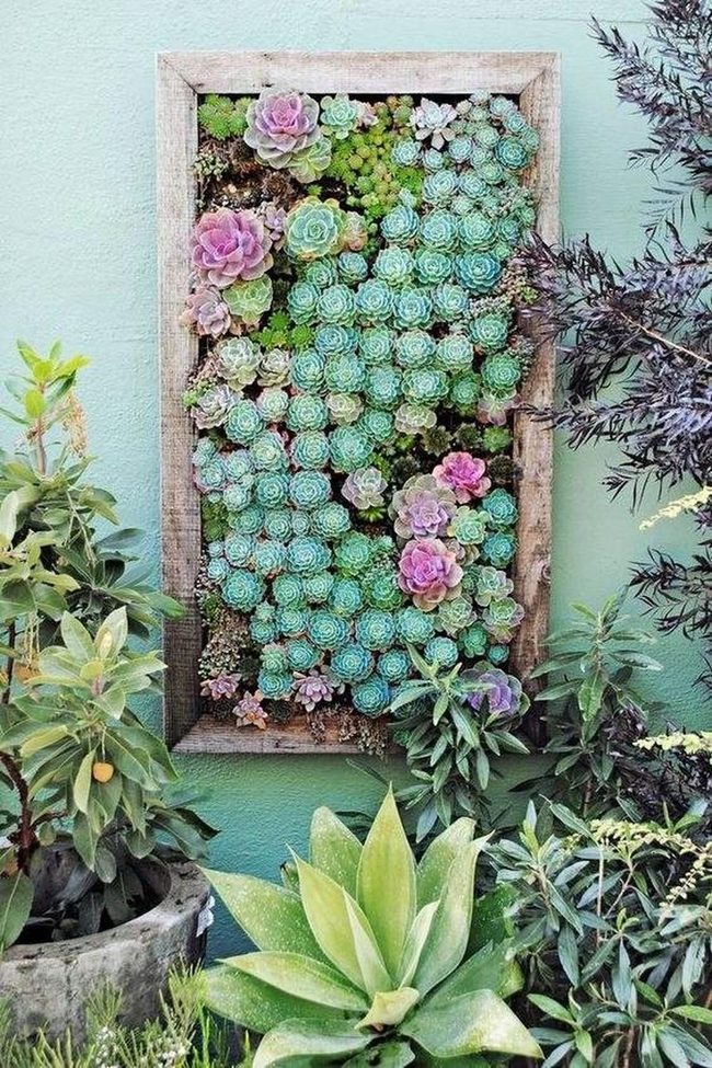 Layered Succulent Wall Art