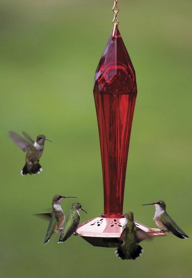 Red Glass Hummingbird Feeder