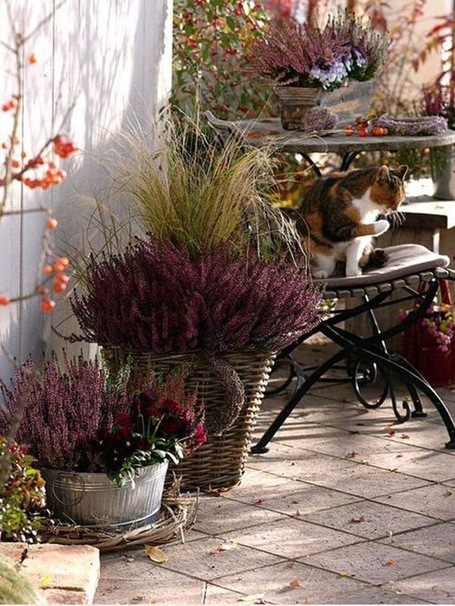 Autumn Copper And Amber Balcony