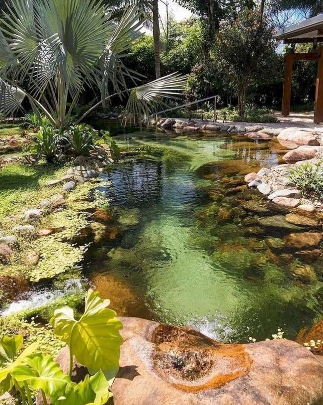 Curved Pond Attracts Wildlife And Sound