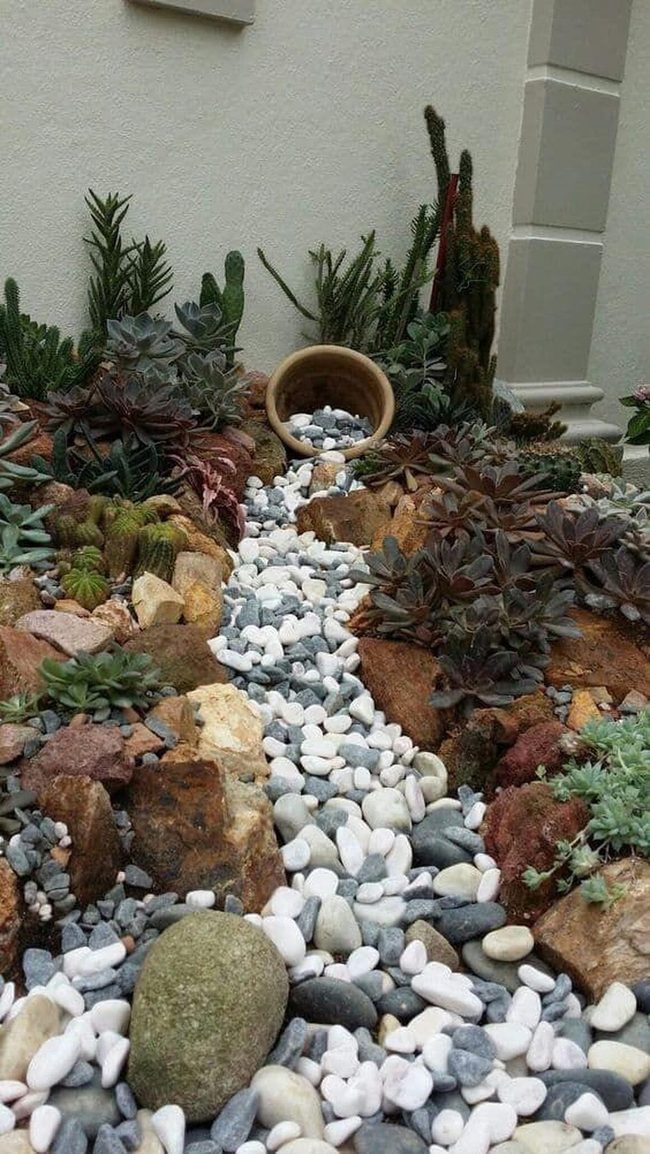 Stones And Succulents, No Fuss