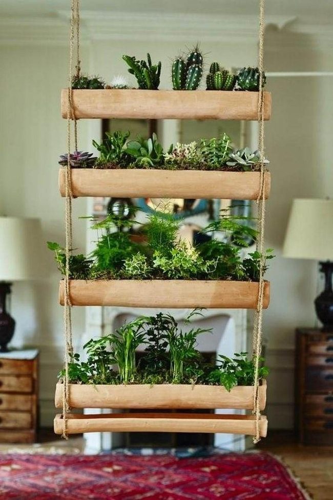 Living Wood Wall Garden