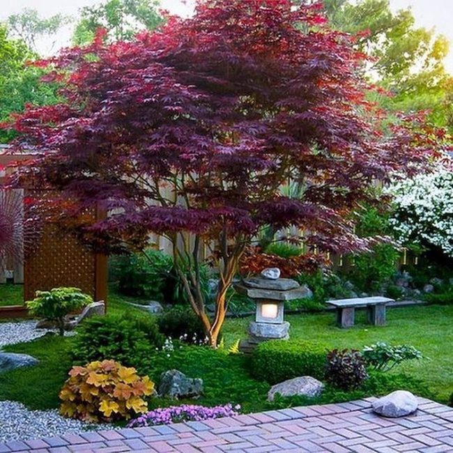 Crimson Trees Frame Private Garden Retreat