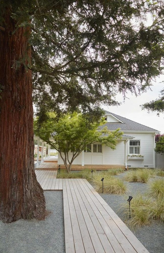 White House Among Towering Oak Trees