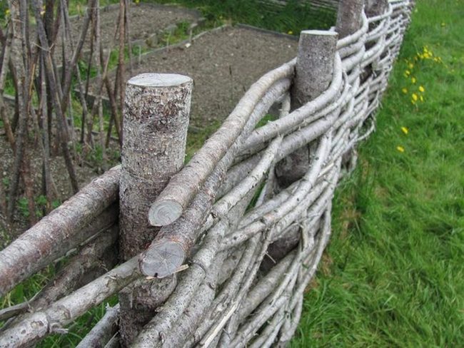 Interlaced Branches Natural Fencing