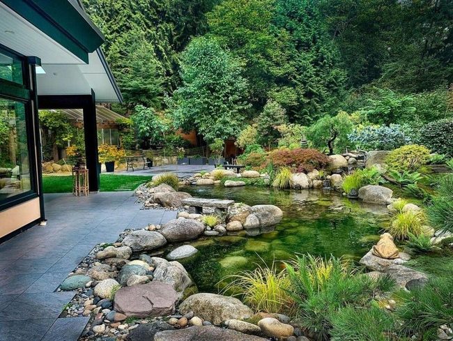 Forest Pond Meets Modern Home