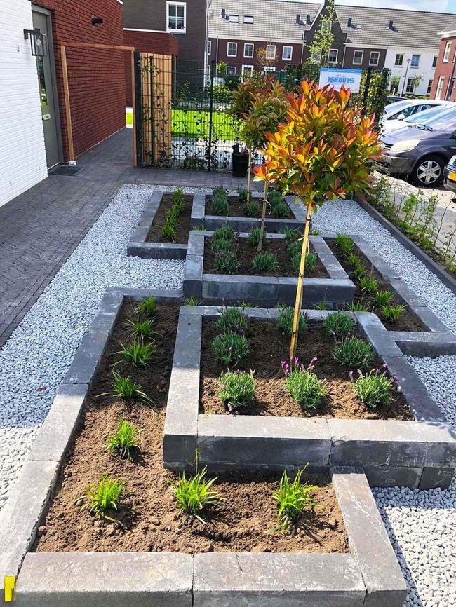 Dark Concrete Frames Green Growth