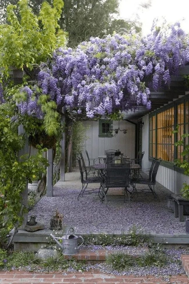 Purple Pergola Outdoor Dining Room