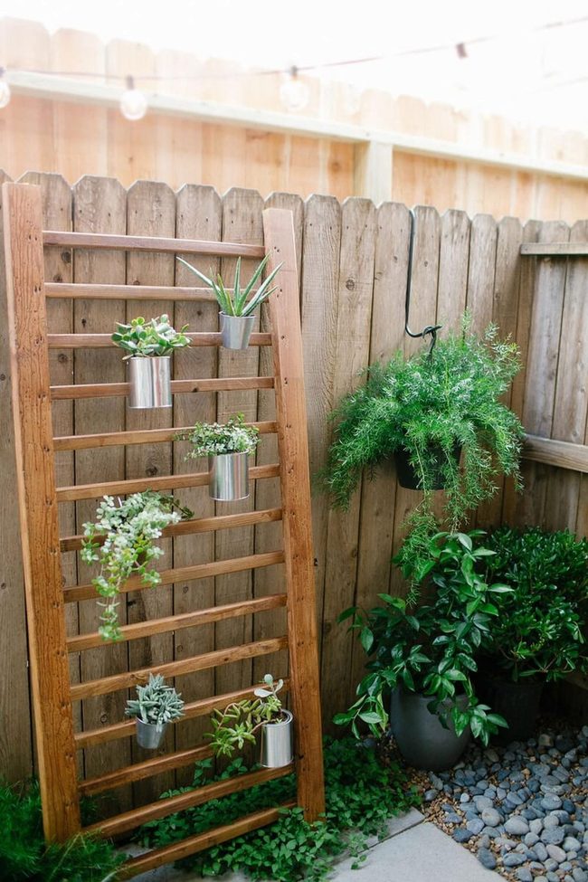 Wooden Ladder Vertical Plant Display