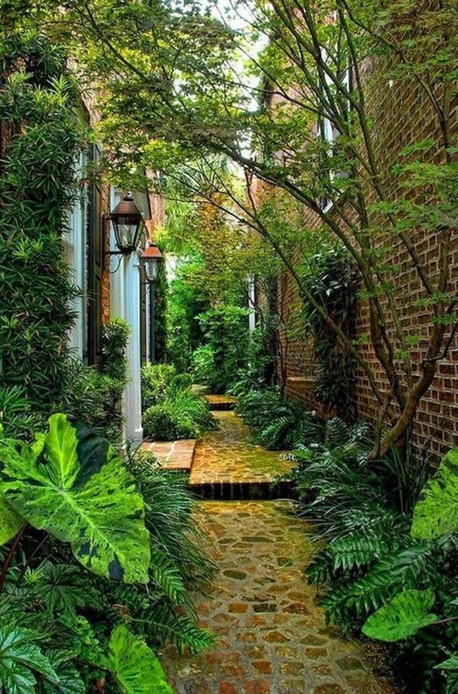 Green Corridor Between Brick Walls
