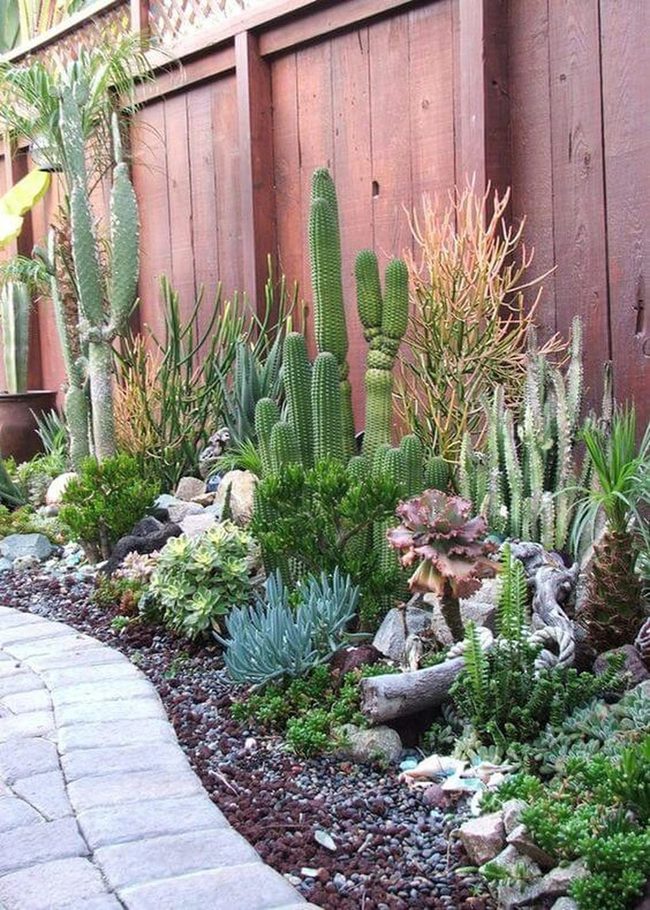 Curved Stone Paths Through Desert Greens