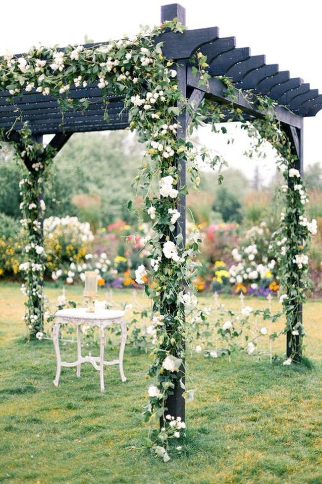 Vines Climbing Wooden Garden Pergolas