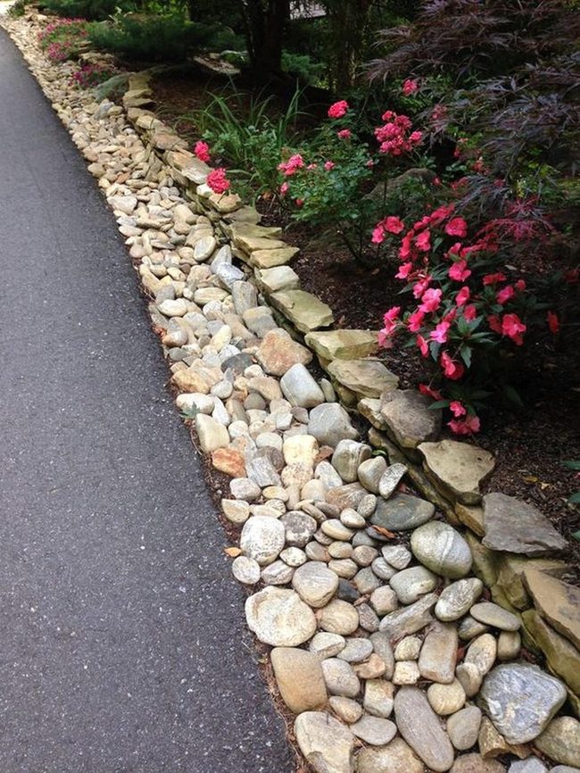Pink Blooms Between Stone Borders