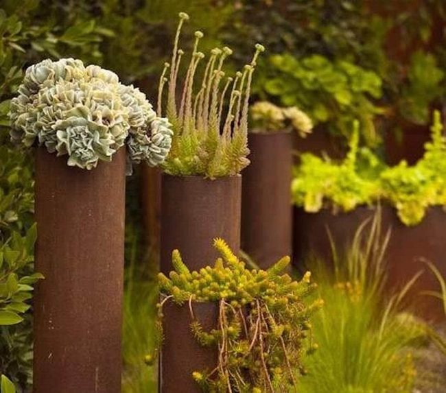 Weathered Metal Succulents Vertical Display