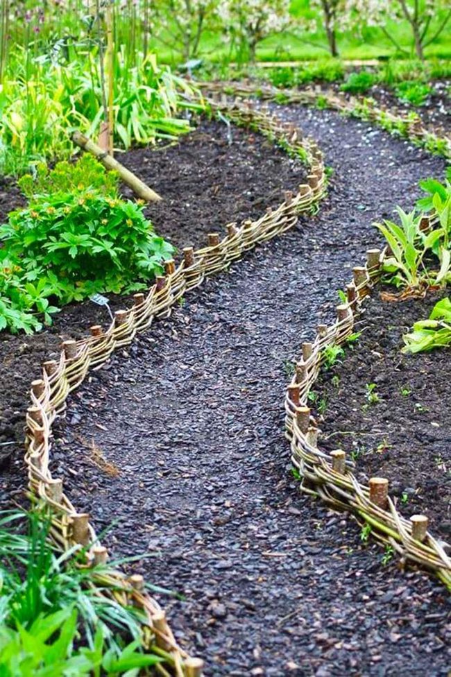 Garden Path Through Growing Vegetables