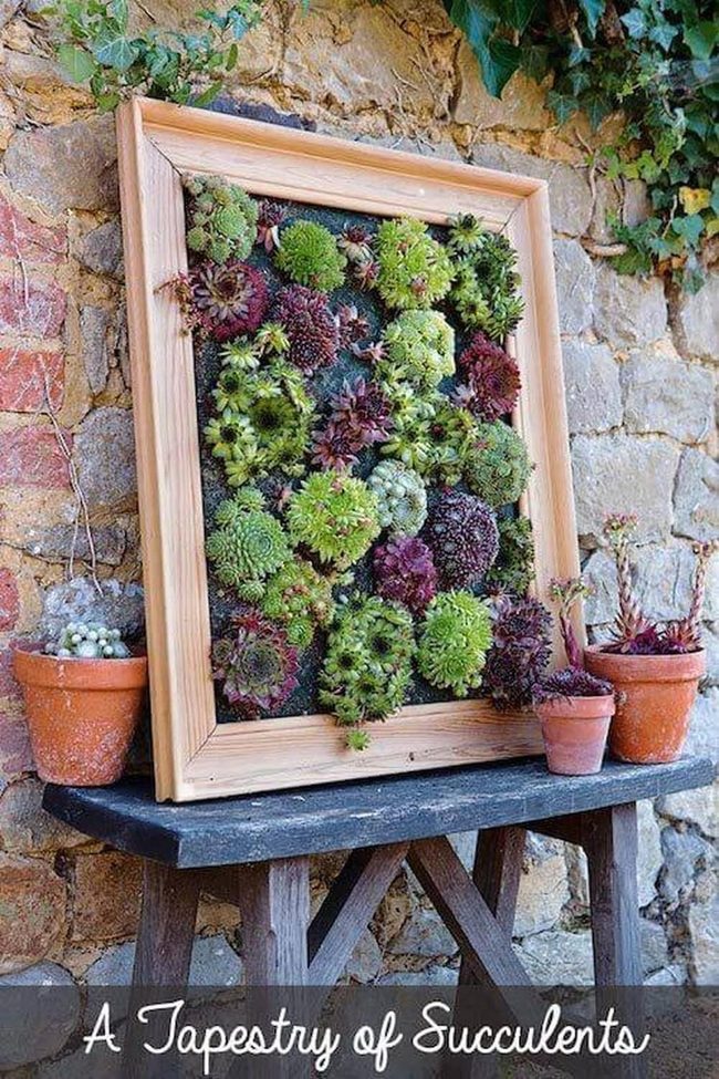 Colorful Succulents Transform Porch Space
