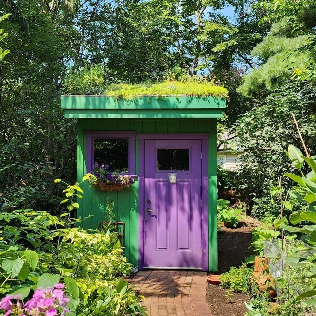 Purple Accents Meet Living Green Walls