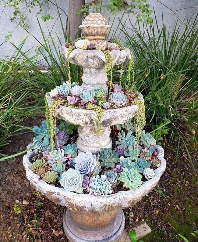 Weathered Stone Fountain With Cascading Succulents