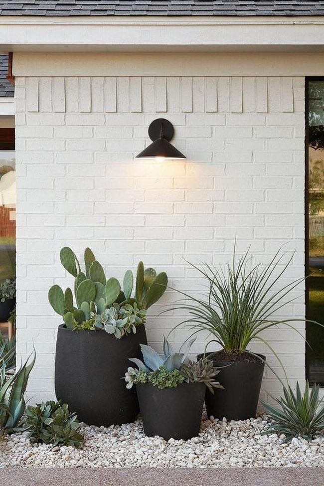 Black Pots, Green Plants, White Walls