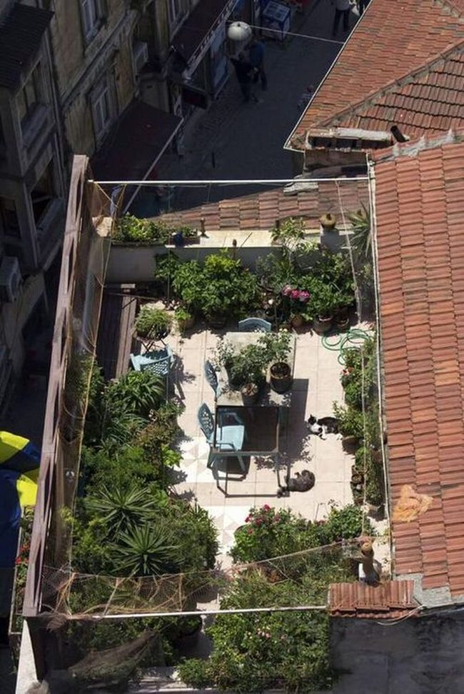 Green Rooftop Dining Escape